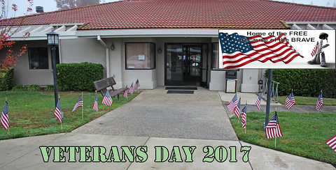 veterans day 2017  500